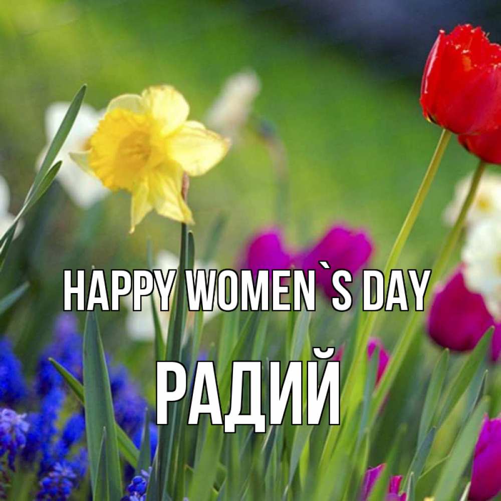 Greetings card с именем, Радий happy women`s day международный женский день 3 Greetings with text for free download 